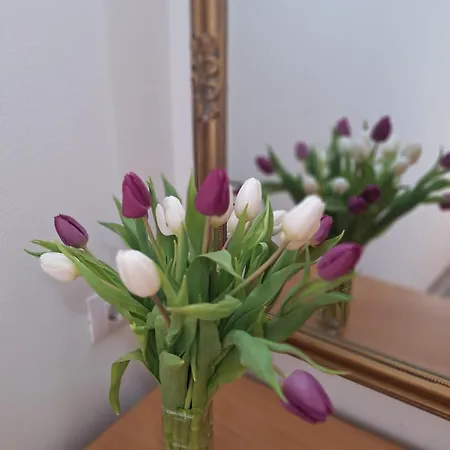 Tomo Апартаменты Дубровник