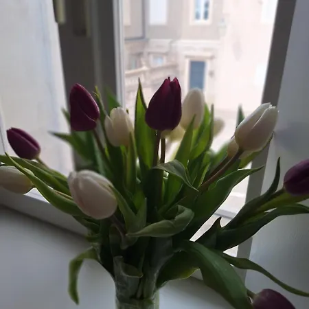 Tomo Апартаменты Дубровник