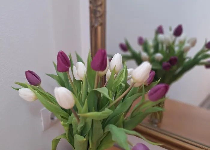 Tomo Διαμέρισμα Ντουμπρόβνικ