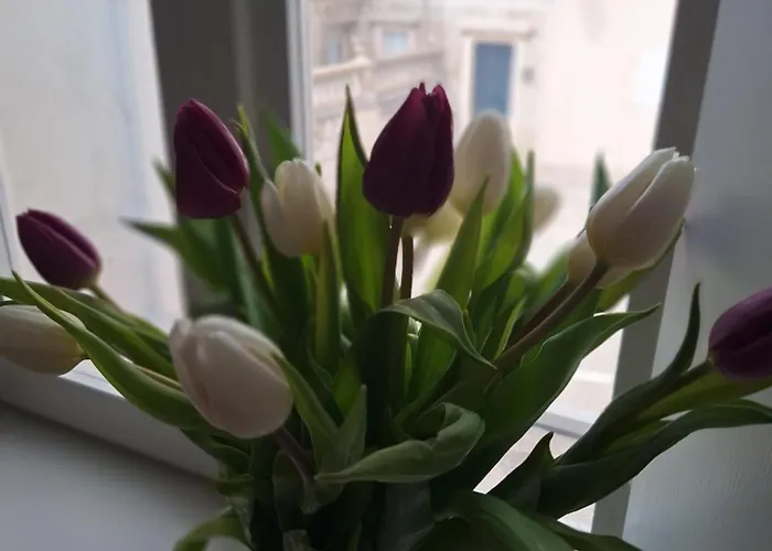 Tomo Διαμέρισμα Ντουμπρόβνικ