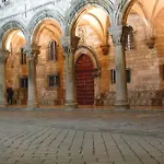 Tomo Ragusa